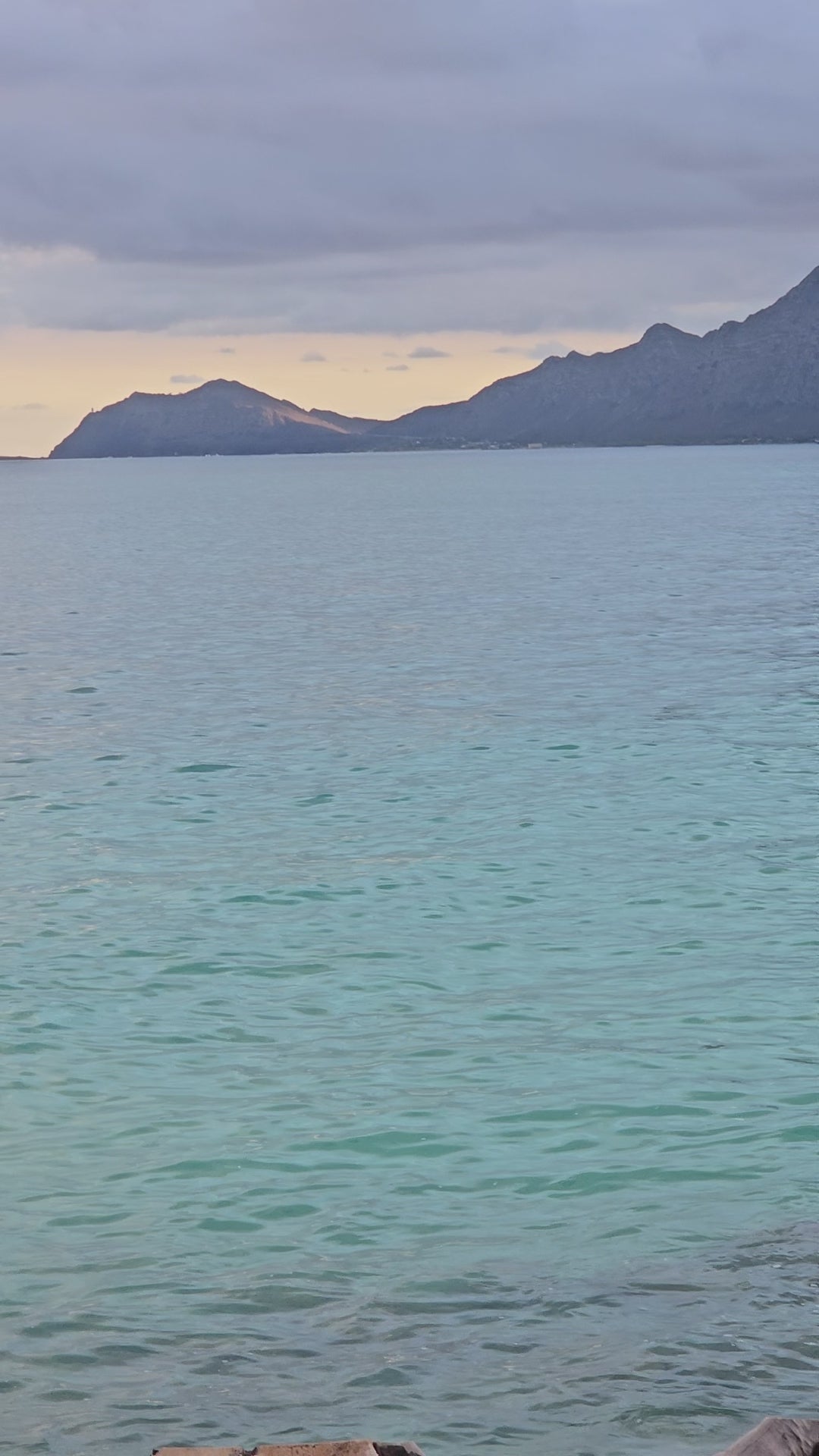 Tyvek Tote Bag Bundle in Skzcation Print