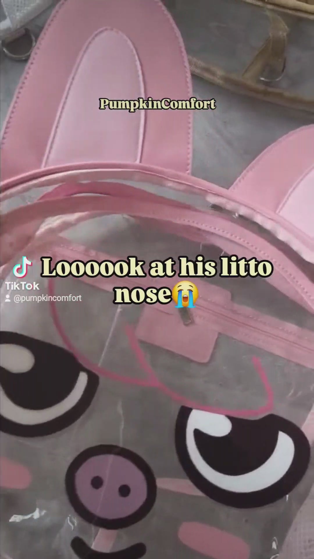 SKZ00 Ita Bags The Clear Collection