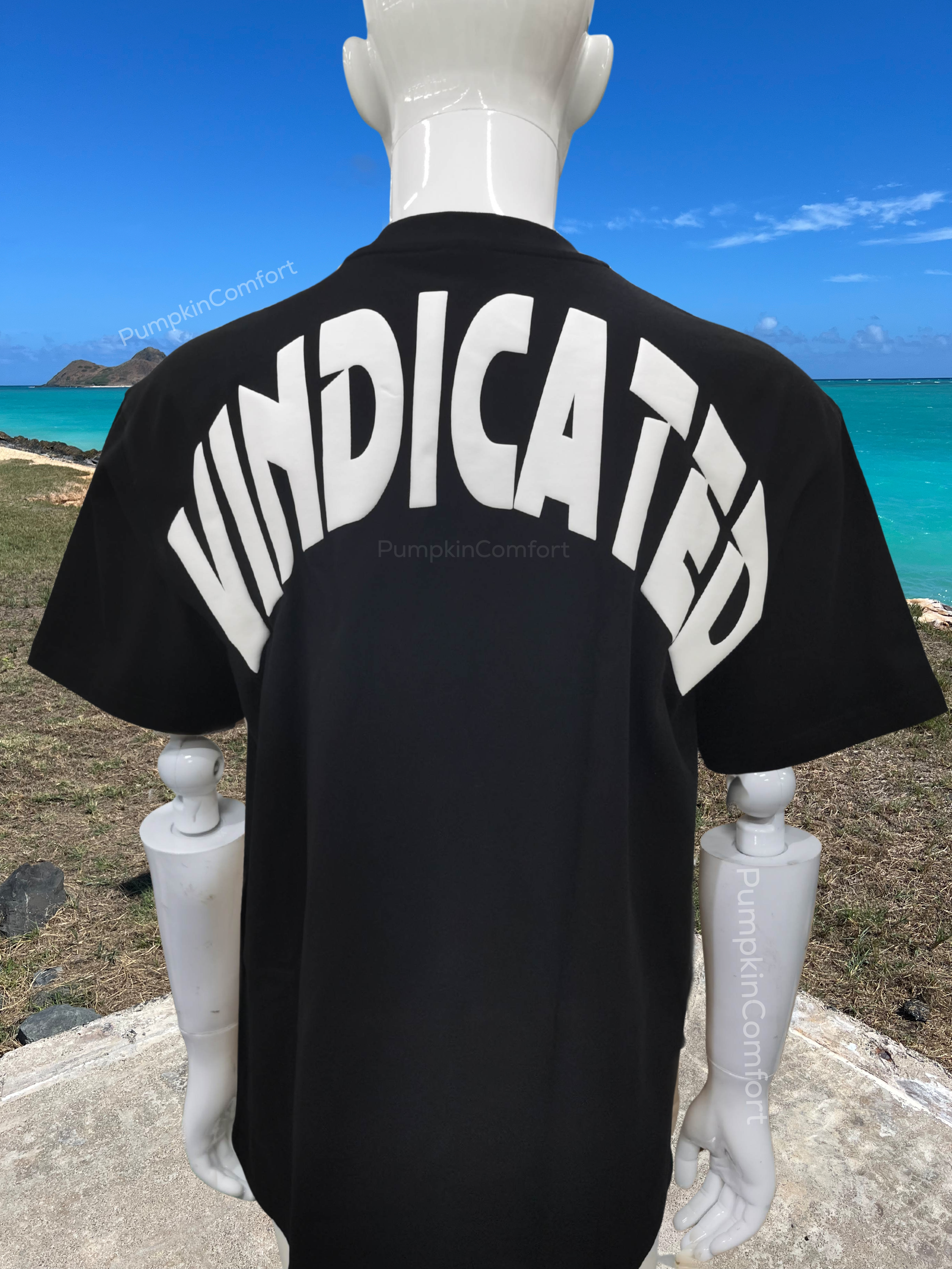 Vindicated Adult Shirts